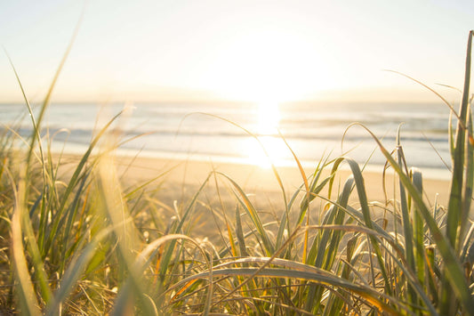 Morning Sunshine as a New Creation in Christ 