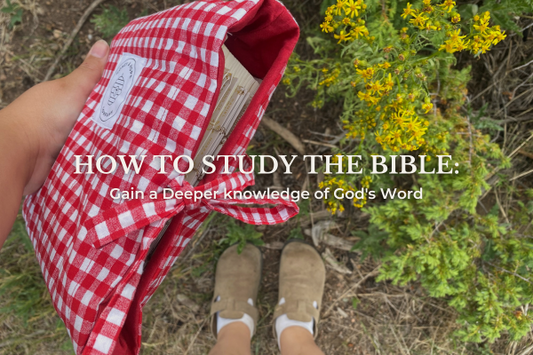 How To Study The Bible: Gain a Deeper knowledge of God's Word