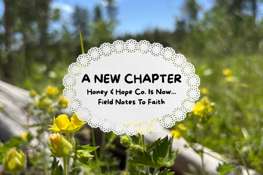 A NEW CHAPTER: Honey & Hope Co. is now Field Notes To Faith