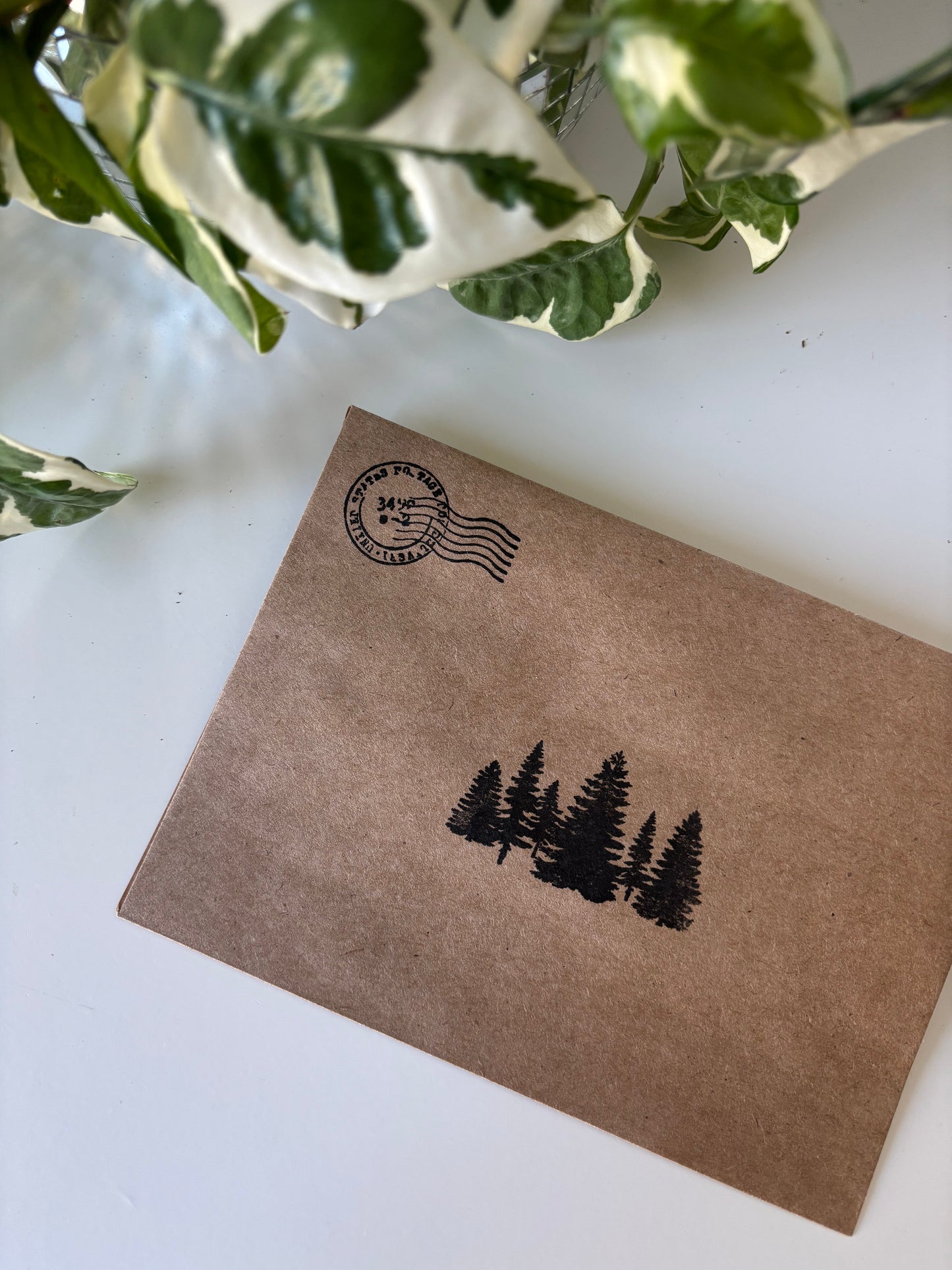 Pine Post (Sticker + Devotional Mail Club)